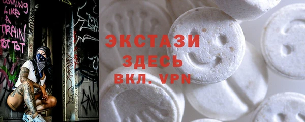 амф Гусь-Хрустальный