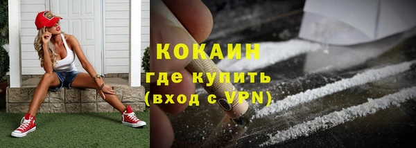 гидра Гусев
