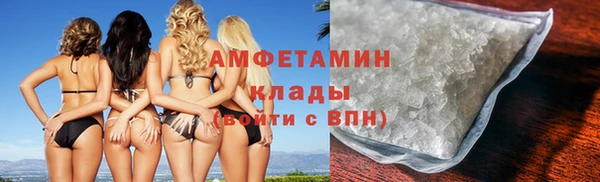 гидра Гусев