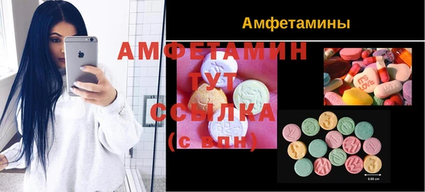 амф Гусь-Хрустальный