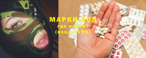 амф Гусь-Хрустальный