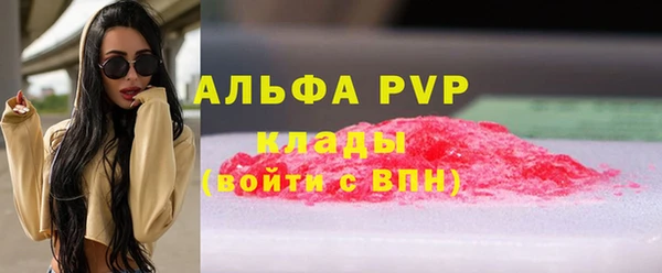 гидра Гусев