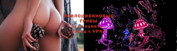 гидра Гусев