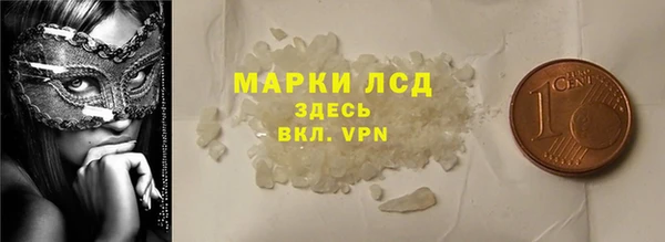 гидра Гусев
