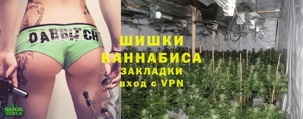 гидра Гусев