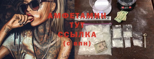 гидра Гусев