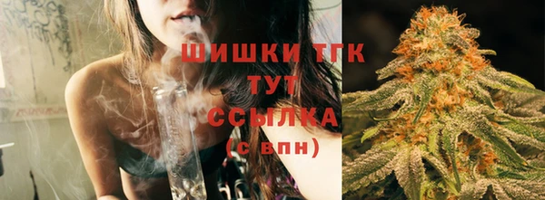 амф Гусь-Хрустальный