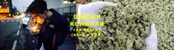 гидра Гусев