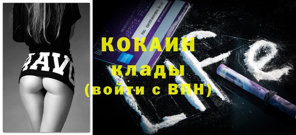 гидра Гусев