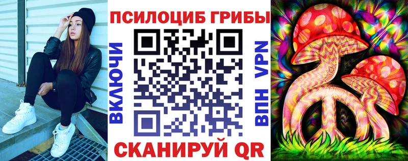 Купить где  Анива  Псилоцибиновые грибы прущие грибы 